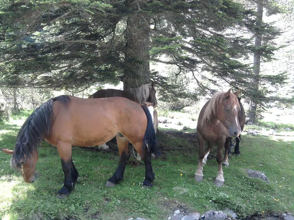 Apartamento Vacances Perennes Cauterets